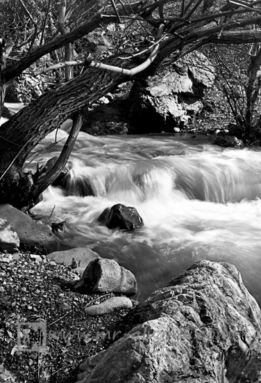 Black and white image of beautiful Darabad River, تصویری سیاه و سفید زیبا از رودخانه دارآباد