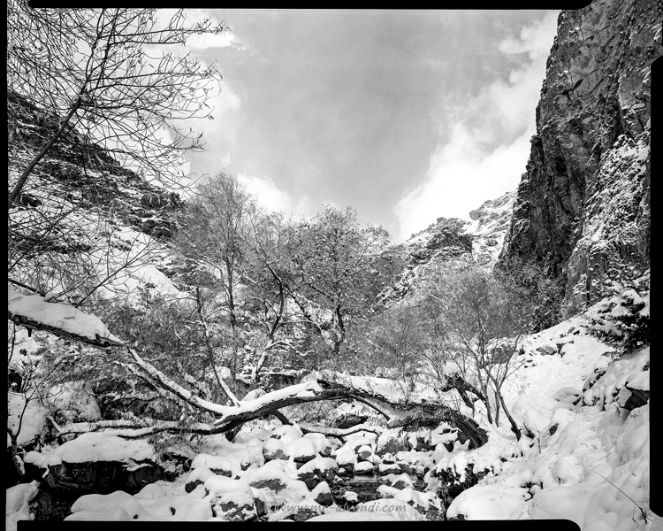 A beautiful snowy day in the Darabad Valley
