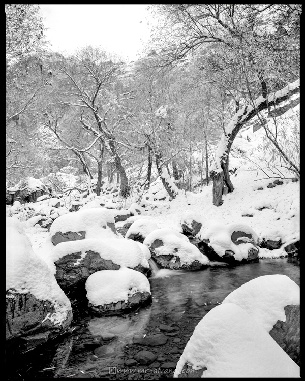 The beautiful river and trees of Darabad Valley on a snowy day