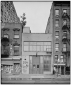 Adam Friedberg photo-4