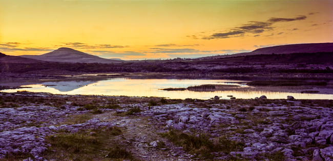 Eamon Goggin-4