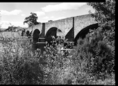Russell Jones 6 Russell Jones-6