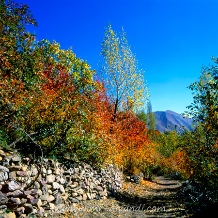 Ahhar village in the fall,روستای آهار در پاییز
