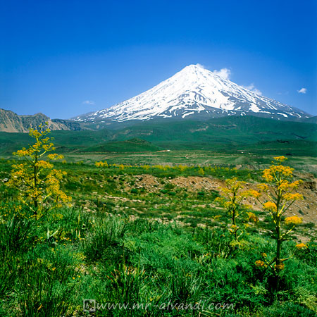 Mount Damavand magnificent from Lar Plain, قله دماوند از دشت لار