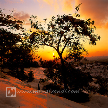 Lavizan forest park and sunset, پارک جنگلی لویزان وغروب