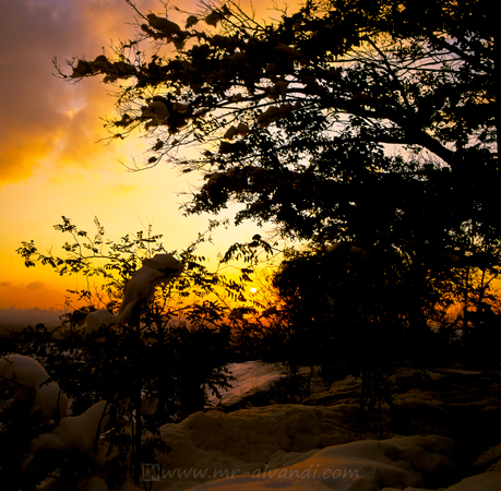 Sunset a snowy day in Lavizan Forest Park,غروب برفی در پارک جنگلی لویزان
